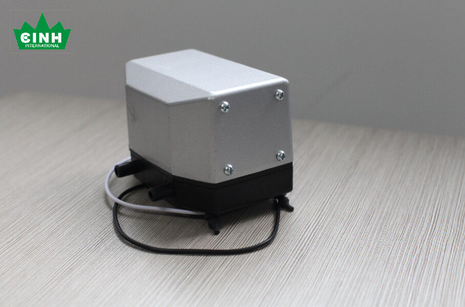 Electric Dual Diaphragm Air Pump Low Noise For Fish Tank With 30